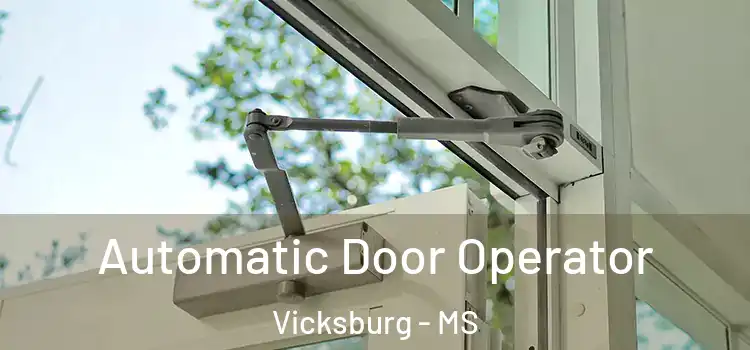 Automatic Door Operator Vicksburg - MS