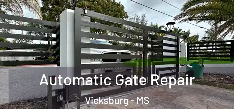 Automatic Gate Repair Vicksburg - MS
