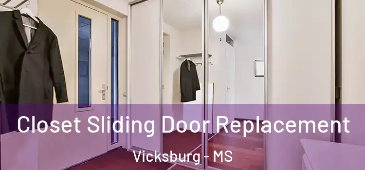 Closet Sliding Door Replacement Vicksburg - MS