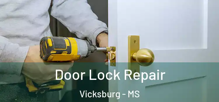 Door Lock Repair Vicksburg - MS