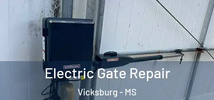 Electric Gate Repair Vicksburg - MS