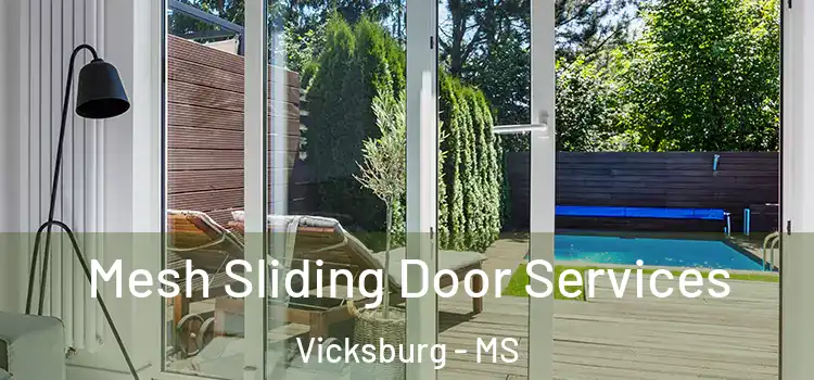 Mesh Sliding Door Services Vicksburg - MS