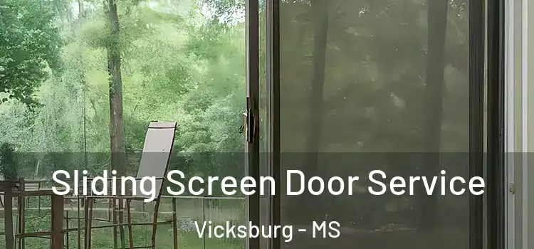 Sliding Screen Door Service Vicksburg - MS